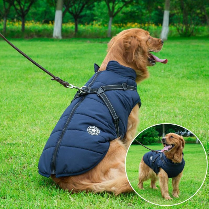Waterproof dog jacket featuring insulated lining for winter comfort, made from durable polyester cotton, perfect for keeping your pet warm in cold weather. 4