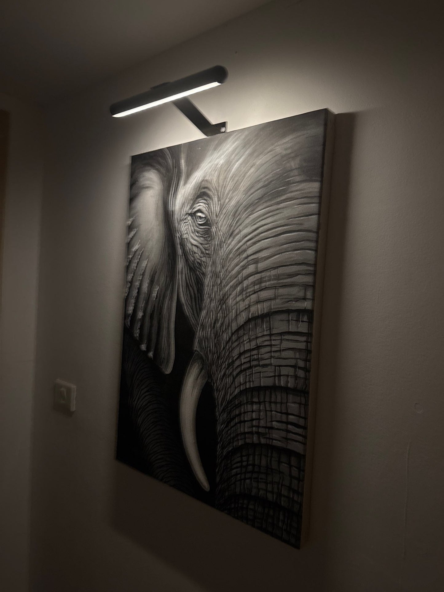 Wireless LED picture light featuring a sleek modern design, dimmable brightness, and a 360° rotating head, perfect for illuminating artwork and photographs; 2